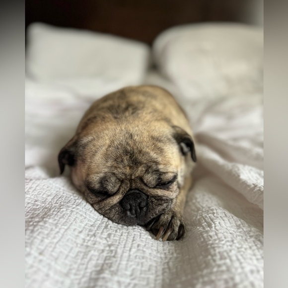 Meet your Posher, Rebecca - Picture 5 of 16